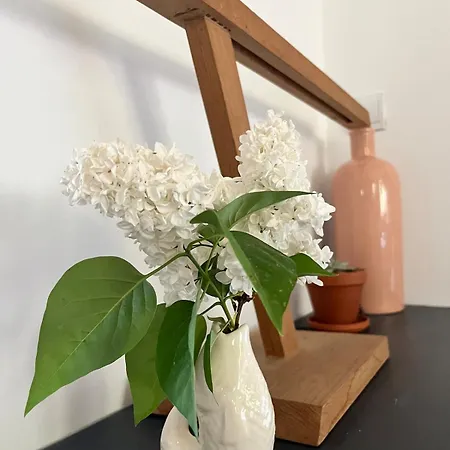 Maison Familiale De Charme Avec Jardin Carcassonne